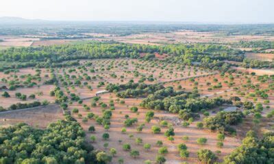 Vol en montgolfière à Majorque prix durée et réservation