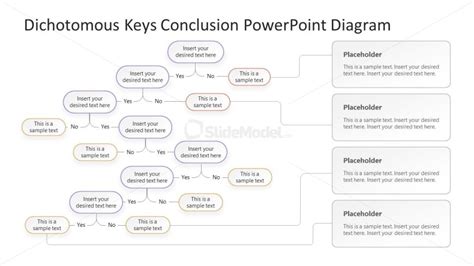 Dichotomous Key Diagram White Boxes Slide Slidemodel