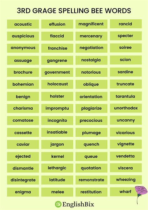 3rd Grade Spelling Bee Vocabulary Words List Englishbix