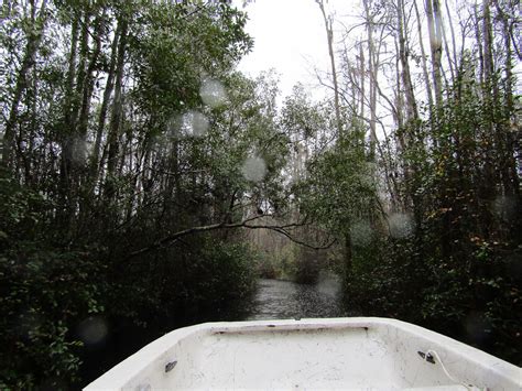 Boat Ride Through The Okefenokee Okefenokee Swamp Park Wa Flickr