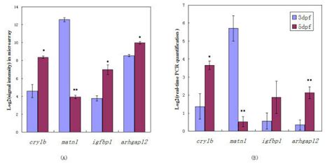 Real Time Pcr Validation Of Differentially Expressed Genes In The