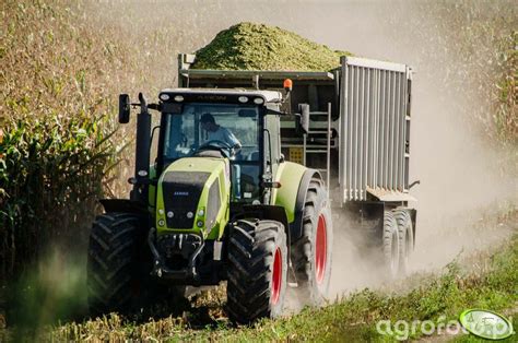 Zdjęcie traktor Claas Axion id 384761 Galeria rolnicza agrofoto