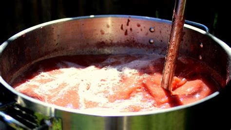 Strawberry Brandy Moonshine Mash Recipe Bios Pics