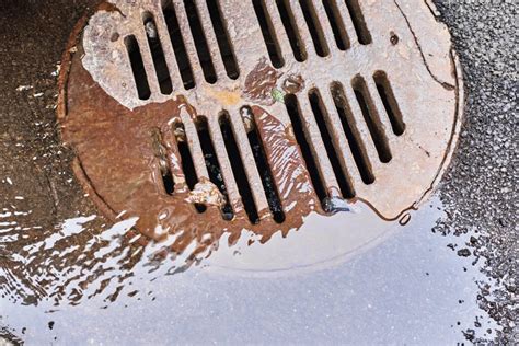 5 Simple Tips To Prevent Sewer Backups From Happening The Design Tourist