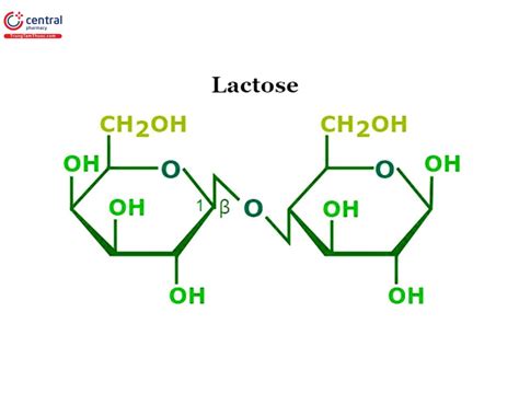 Công Thức Cấu Tạo Lactose Tìm Hiểu Chi Tiết Về Cấu Trúc Hóa Học Của Lactose