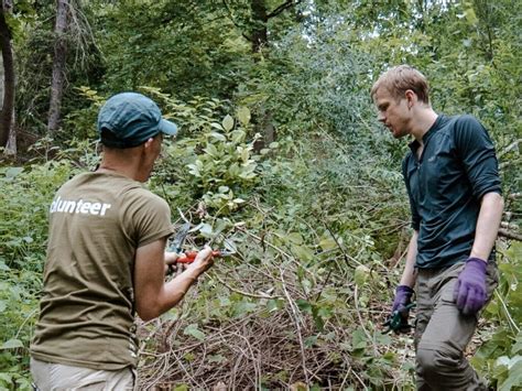 Toronto Nature Stewards Stewardship On Public Land