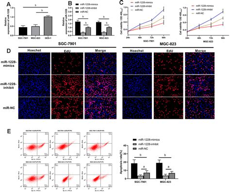 Exosomes Derived From Mir Overexpressing Bone Marrow Mesenchymal