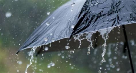 Heavy Rainfall Prompts School Closures in Sri Lanka