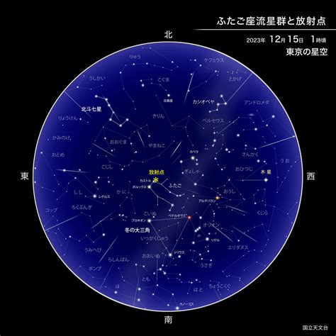 ふたご座流星群の観測 ピークは14日です 日々の記録