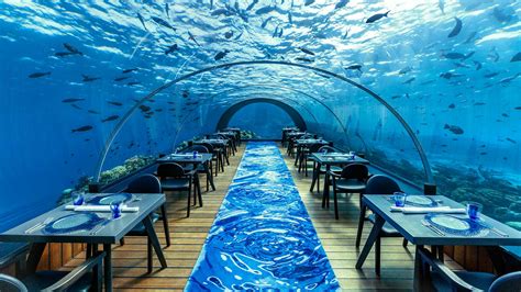 5.8 Undersea Restaurant – Maldives underwater restaurant