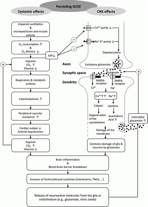 Causes, Manifestations, and Complications of Generalized Convulsive ...