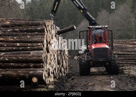 Altenau Germania 29th Mar 2023 Un Veicolo Forestale Carica Tronchi