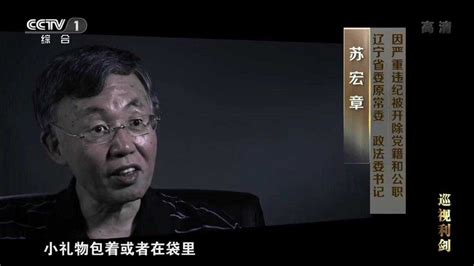 落马省委书记王珉：到辽宁工作后觉得是最后一个岗位了，不想去得罪人腾讯视频