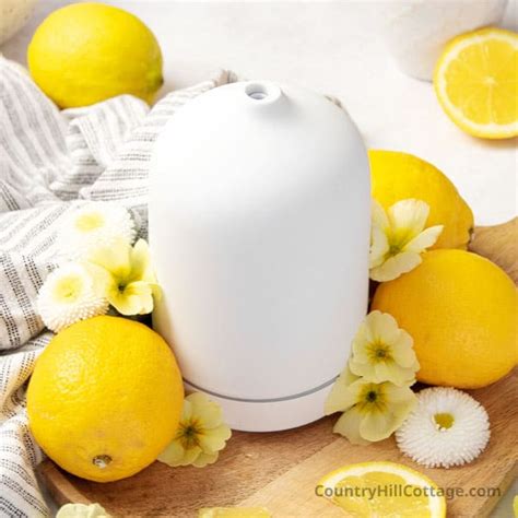 Lemon Diffuser Blends {13 Lemon Essential Oil Blends}