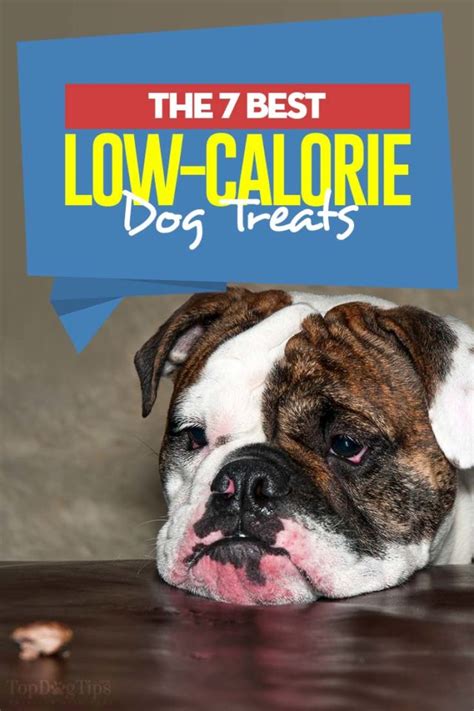 7 Best Low Calorie Dog Treats of 2020 (Good for Training and Dieting)