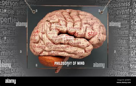 Philosophy Of Mind In Human Brain Dozens Of Terms Describing Its