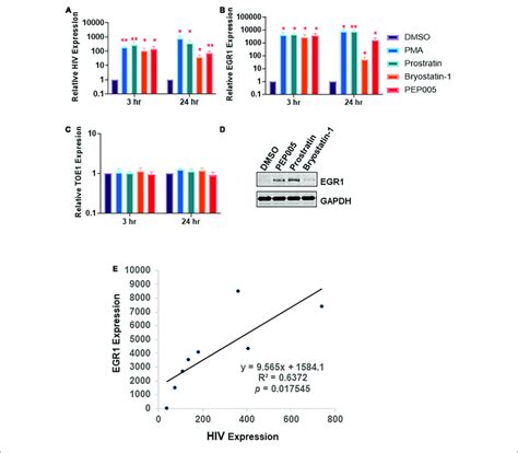 Protein Kinase C Agonist Pkca Response Gene Early Growth Response