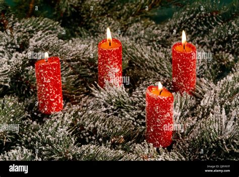 Advent wreath with 4 four burning candles, Christmas time, Advent, Advent wreath with 4 four ...