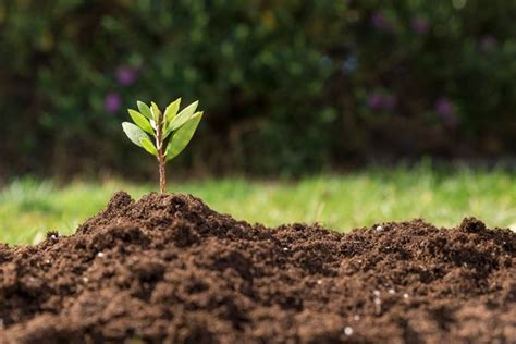 Venta de yeso agrícola y de construcción Química Andina