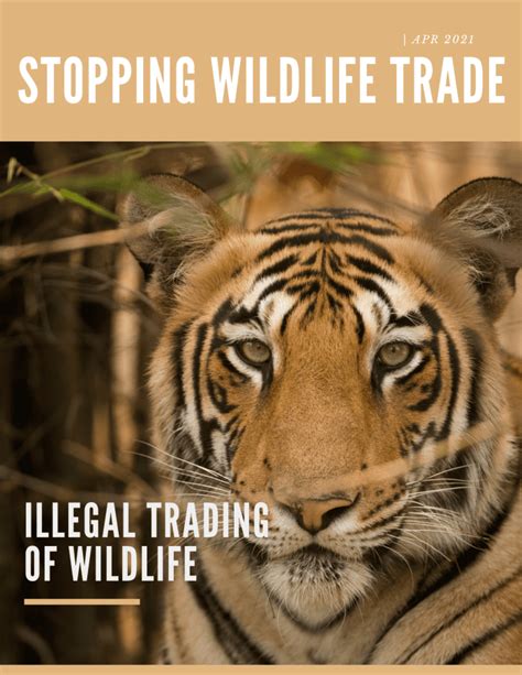 Wild Life Trading Illegal Trading Of Wild Life HubPages