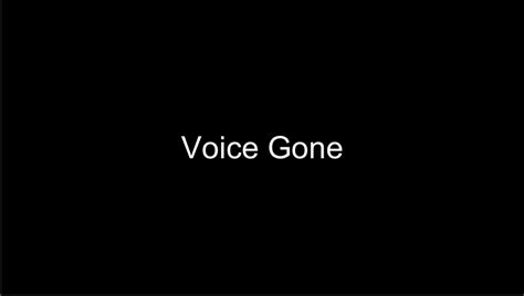 Voice Gone By Funurball