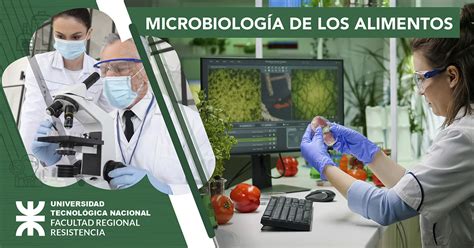 Microbiolog A De Los Alimentos Utn Elearning Total