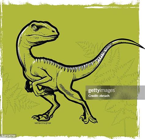 Velociraptor Vector Photos And Premium High Res Pictures Getty Images