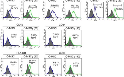 Phenotype Profiles Of C Msc And C Mscγ Cell Surface Marker Expression