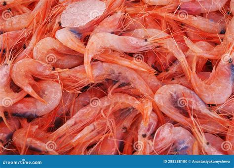 Shrimps At The Local Fish Market Vucciria In Palermo Italy Stock Photo