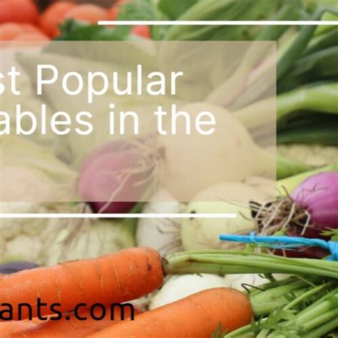 20 Most Popular Vegetables In The World