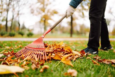 Arr Tez De Ramasser Vos Feuilles Utilisez Cette Astuce Pour Un Jardin