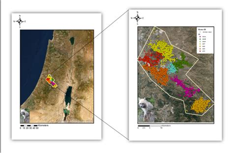 Figure From Sex Differences Dictate The Movement Patterns Of Striped