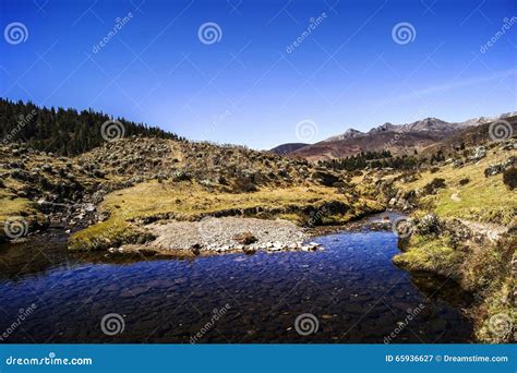 Relax stock image. Image of mucubaji, landscape, relax - 65936627