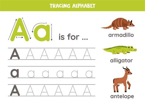 Tracing All Letters Of English Alphabet Preschool Activity For Kids