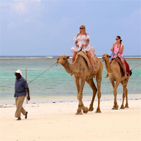 3 Nächte Vipingo Golf Safari Flug Tour GetYourGuide