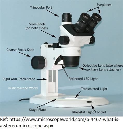 میکروسکوپ تشریح Dissecting microscope Stereo or stereoscopic