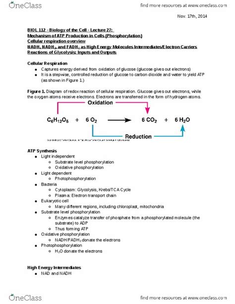 BIOL 112 Lecture 27 BIOL 112 Biology Of The Cell Lecture 27