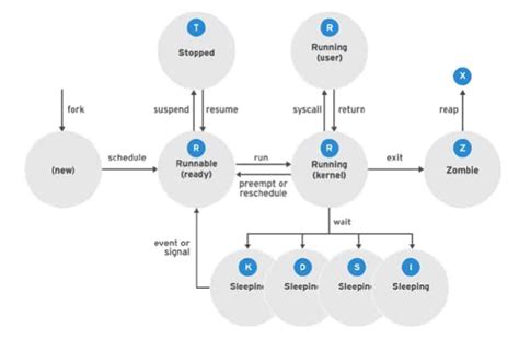 Beginners Guide To Managing Processes Running On A Linux System