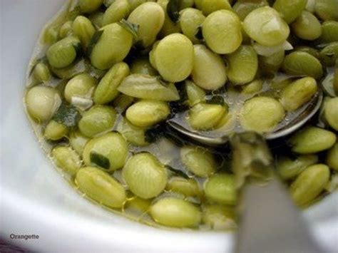 ¿Cómo cocinar habas? - Recetas de habas - BlogHogar.com