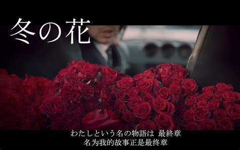 【双语字幕】「冬の花」（冬之花）mv 宫本浩次