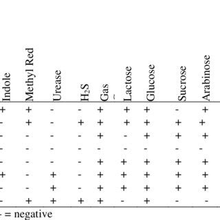 Gram Stain Reaction And Biochemical Characterization Of Bacteria