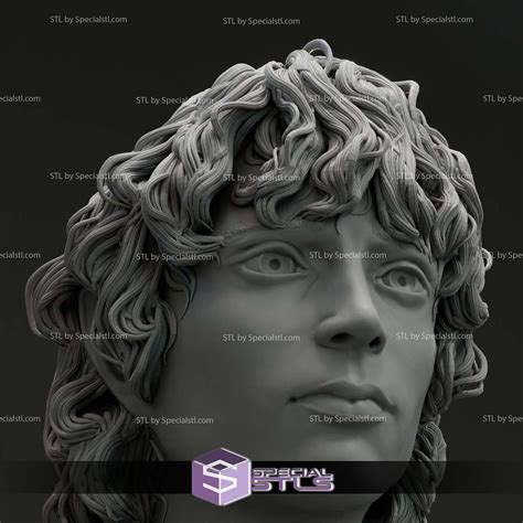 Elijah Wood Frodo Baggins Bust 3D Printer Files | SpecialSTL