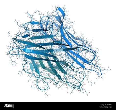 Tumour Necrosis Factor Alpha Tnf Cytokine Protein Molecule