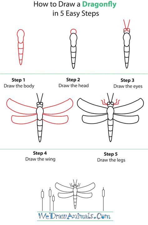 How To Draw A Dragonfly