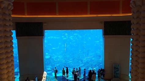 Atlantis, The Palm Hotel Dubai - Review