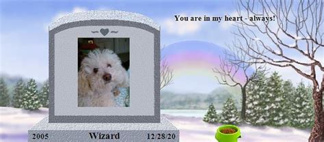 Wizard S Rainbow Bridge Pet Loss Memorial