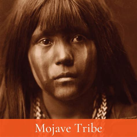 5 Facts About The Mojave Tribe - The History Junkie