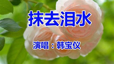 韩宝仪《抹去泪水》经典老歌 腾讯视频