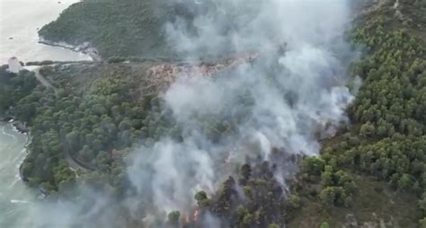 Incendio A Vieste Brucia Il Bosco Di Baia San Felice Evacuati In