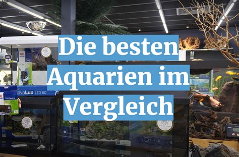 Aquarium Test Überblick Dezember 2024 besten Aquarien im Vergleich